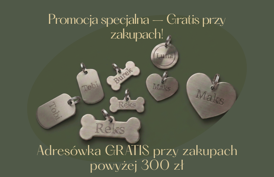 Zadbaj o bezpieczeństwo swojego pupila.Co powinno znajdować się na adresówce dla psa i dlaczego Twój pupil musi ją mieć?